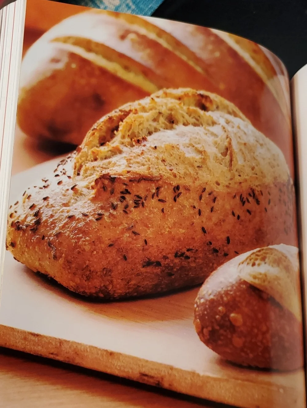 The‎ Panera Bread Cookbook - Panera Bread